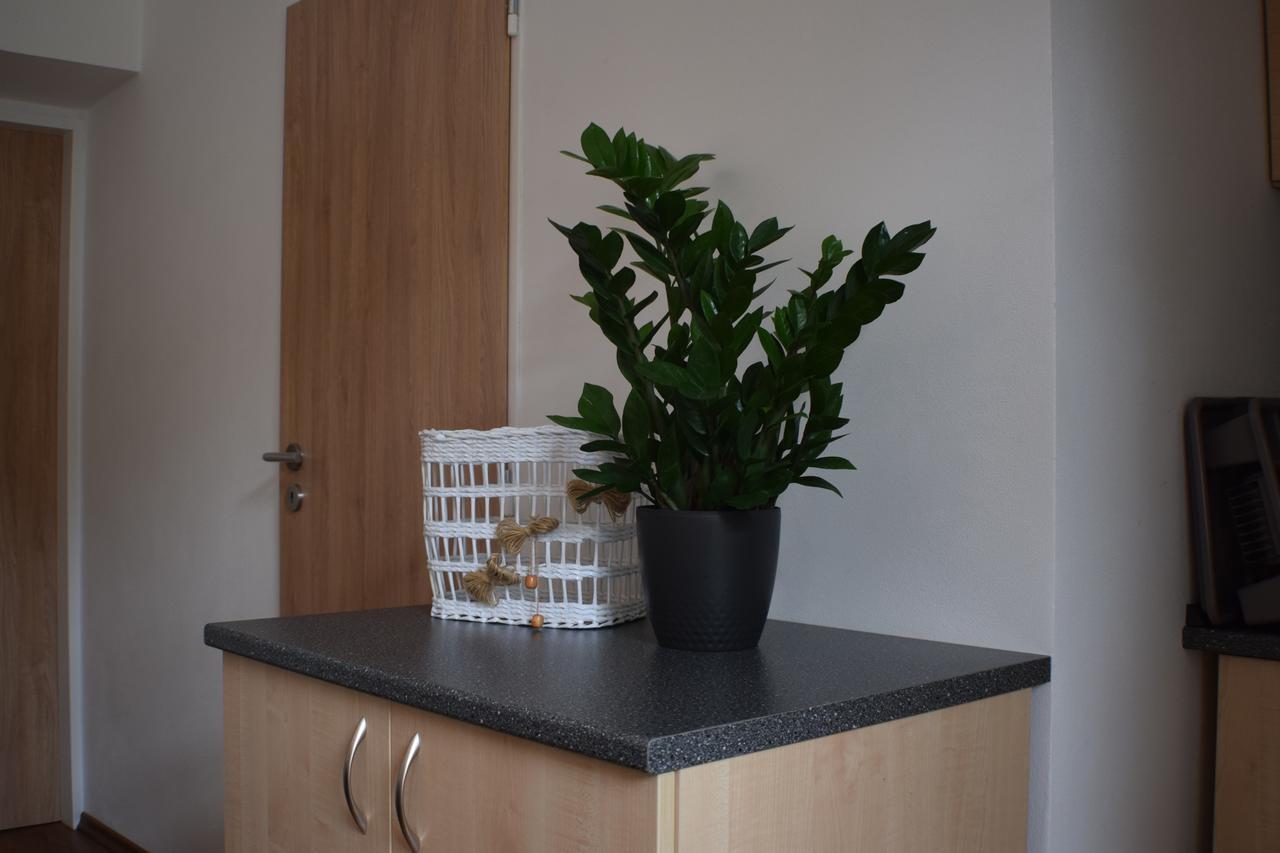 Apartment Lipa Tabor